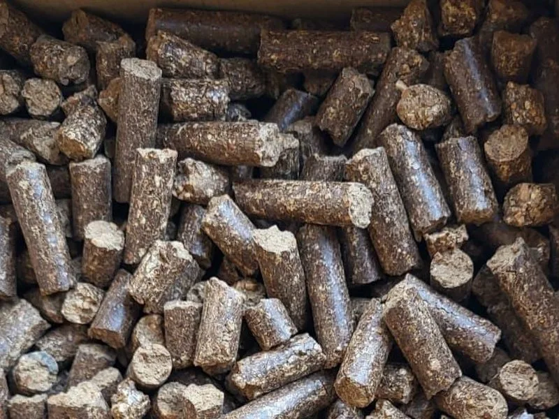 Close-up of walnut shell pellets